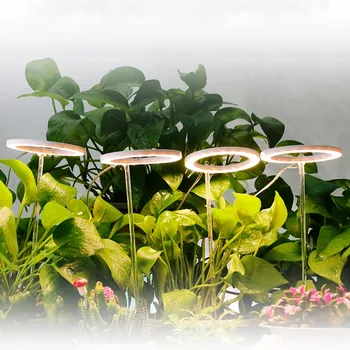  Melek dört halka ışık büyümeye yol açtı DC5V USB Phytolamp bitkiler Led tam spektrum iç mekan lambası bitki fideleri ev çiçek etli