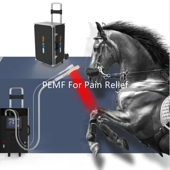  Su Soğutma Sistemi ile Veteriner Cihazı PEMF Fizyo Manyetik Terapi EMTT Makinesi 